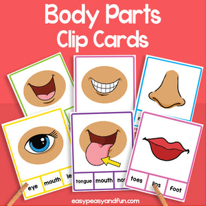 Body Parts Clip Cards – Human Anatomy